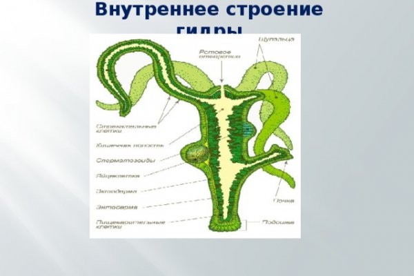 Магазин кракен в москве наркотики