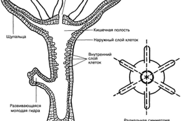 Кракен сайт для наркоманов
